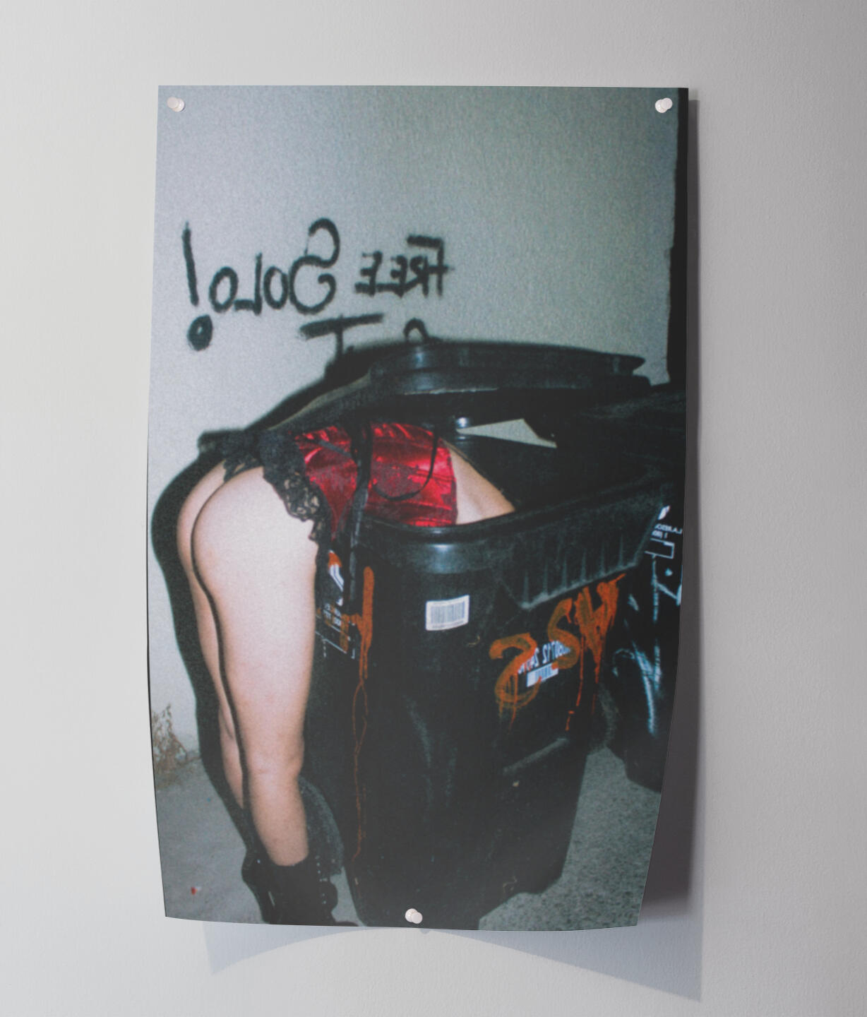 $30 - Trashy By Nature, Dumb By Choice Print