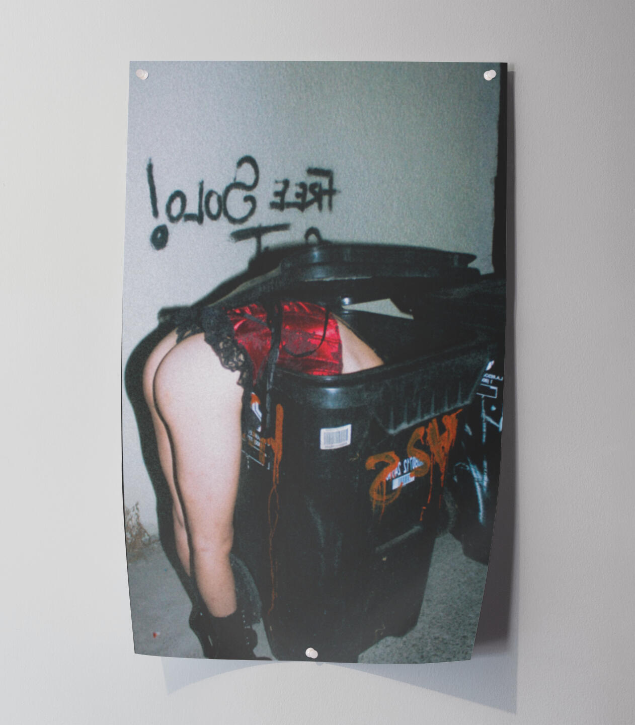 $30 - Trashy By Nature, Dumb By Choice (11x17)